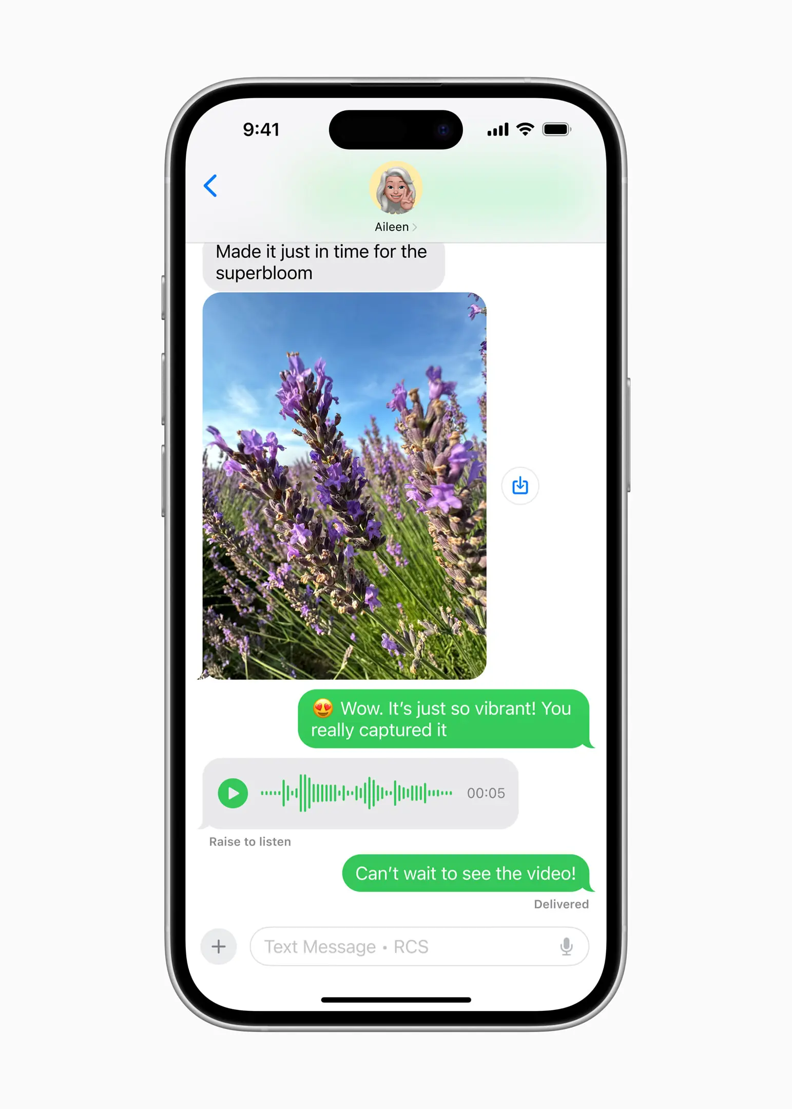 iOS 18 Messages RCS