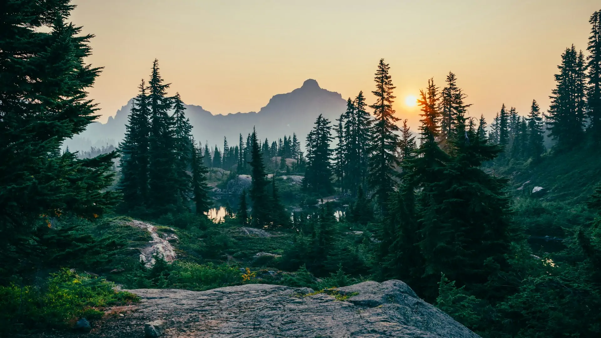 Apple Restore Fund for Carbon Neutrality