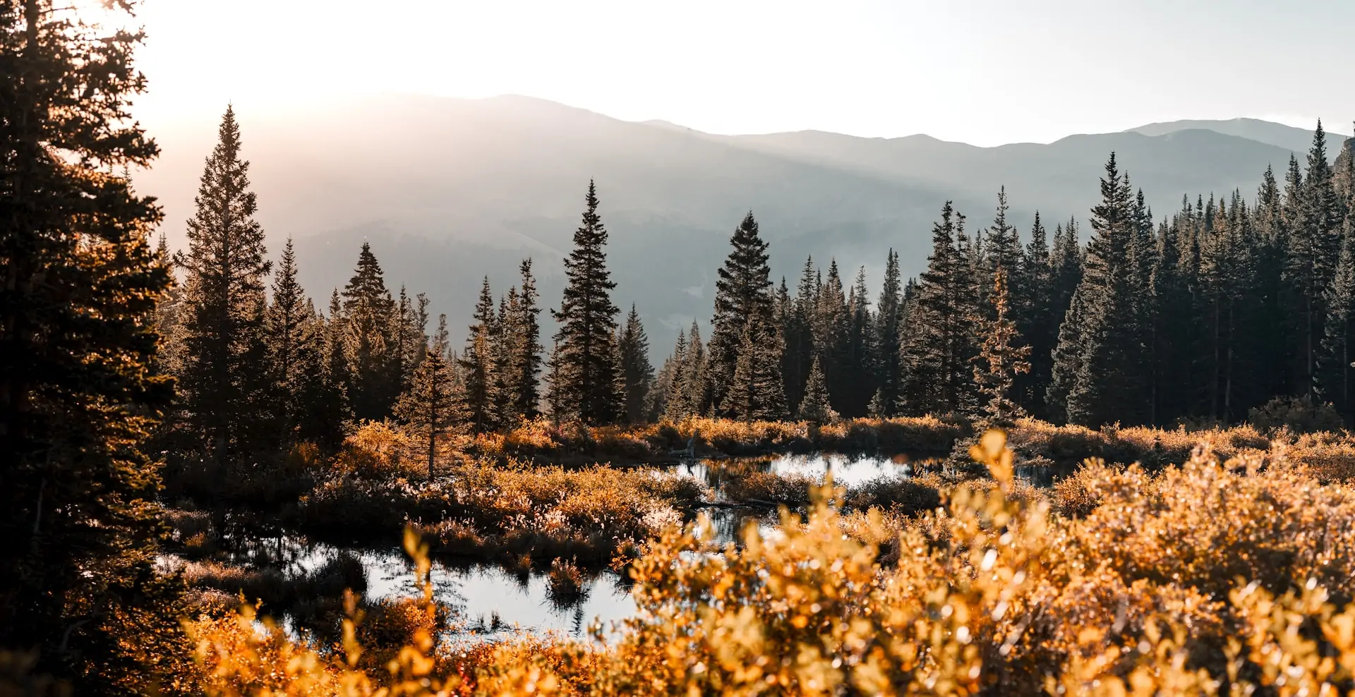 Restore fund new effort to restore ecosystems